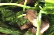 Arugula And Grilled Portobello Salad